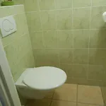 Slovacka Апартаменты Ratiskovice